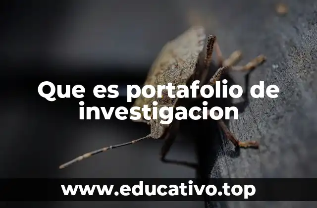 Que es portafolio de investigacion