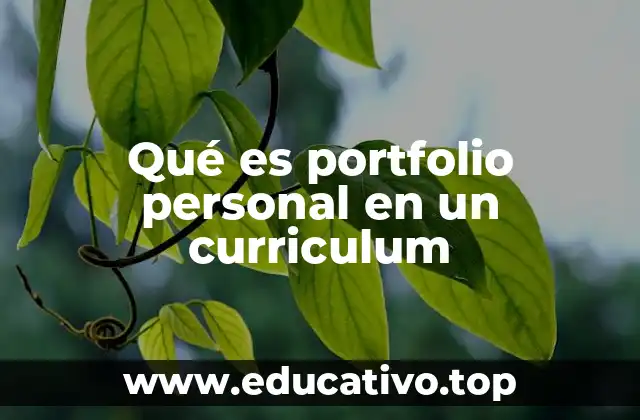 Qué es portfolio personal en un curriculum
