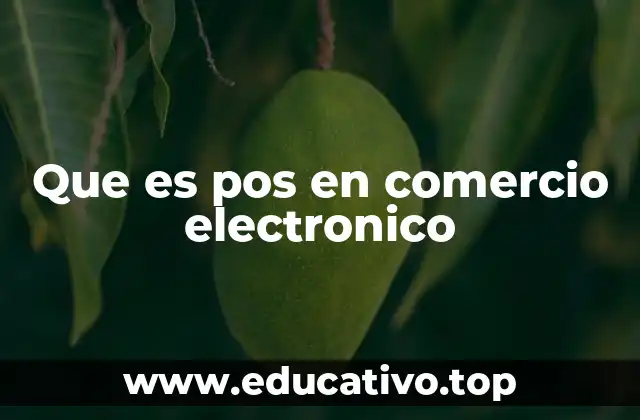 Que es pos en comercio electronico