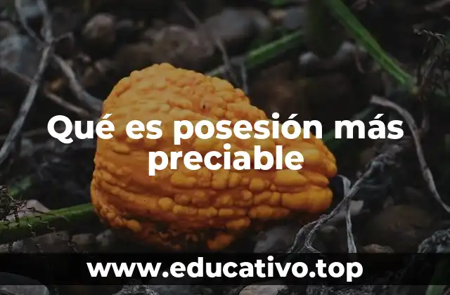 Qué es posesión más preciable