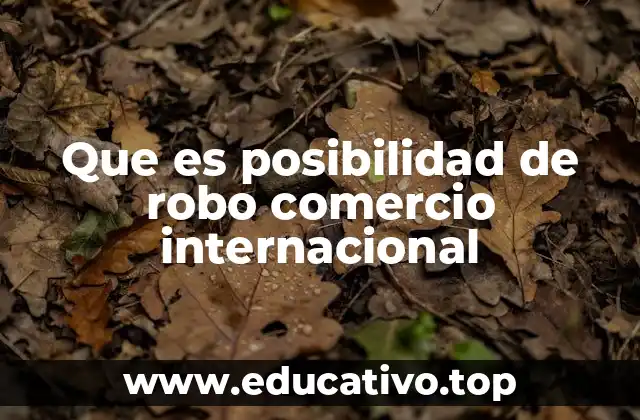 Que es posibilidad de robo comercio internacional