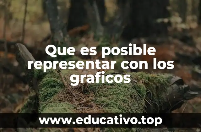 La importancia de la visualización de datos