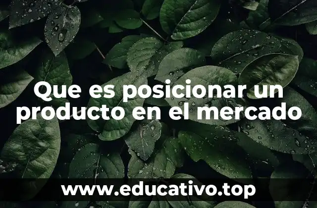 Que es posicionar un producto en el mercado