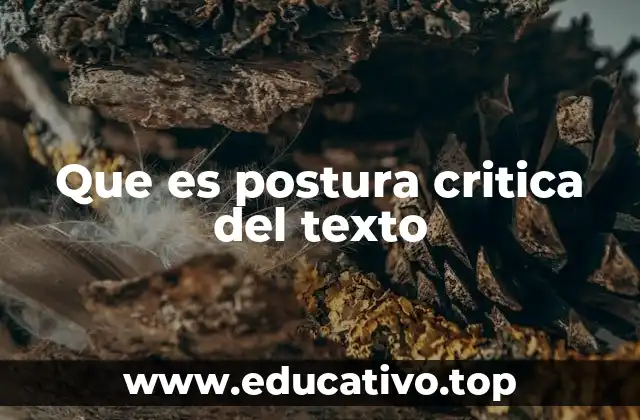 Que es postura critica del texto