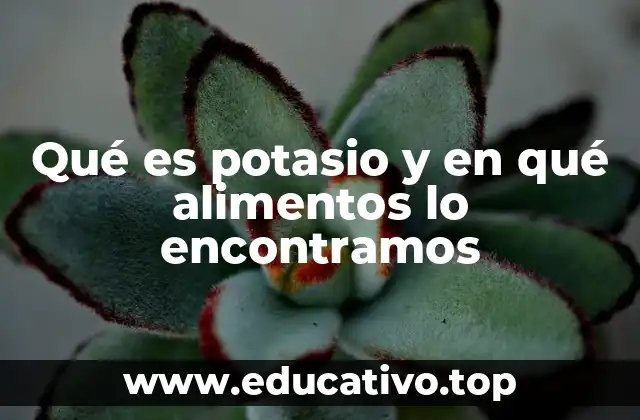 Qué es potasio y en qué alimentos lo encontramos