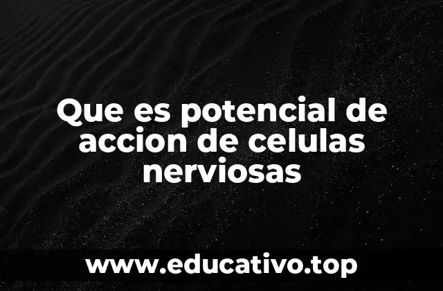 Que es potencial de accion de celulas nerviosas