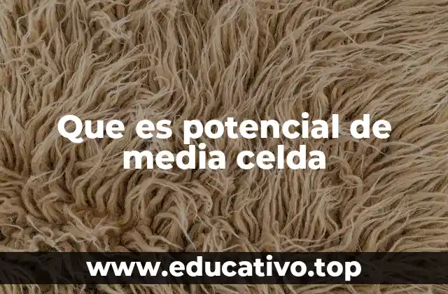 Que es potencial de media celda