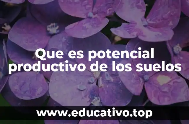 Que es potencial productivo de los suelos
