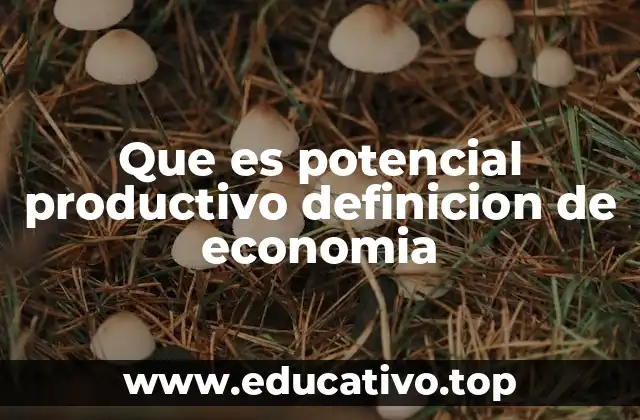 Que es potencial productivo definicion de economia
