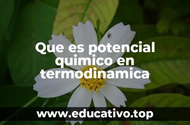 Que es potencial quimico en termodinamica