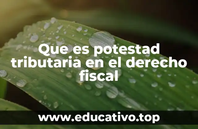 Que es potestad tributaria en el derecho fiscal