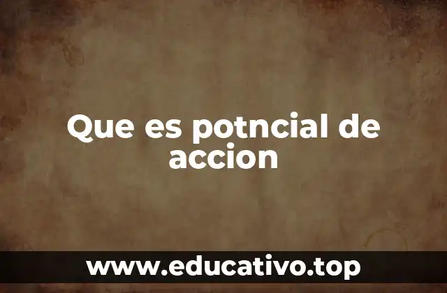 Que es potncial de accion