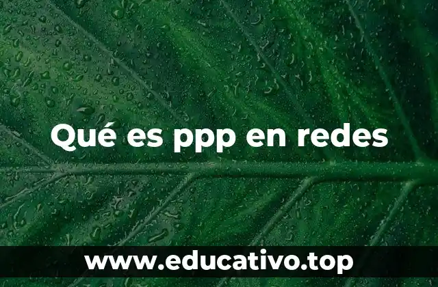 Qué es ppp en redes