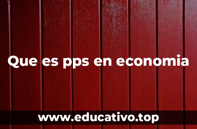 Que es pps en economia