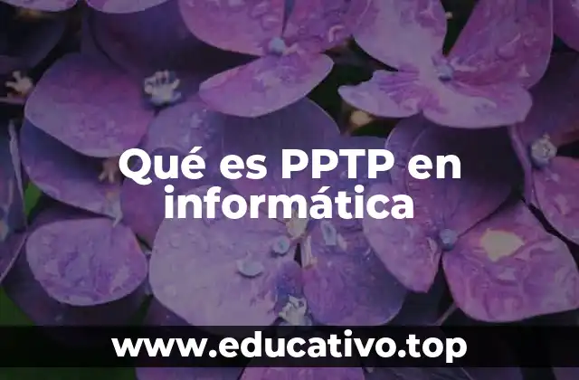 Qué es PPTP en informática