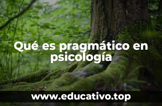 Qué es pragmático en psicología