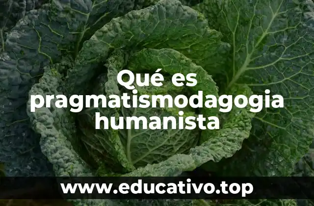 Qué es pragmatismodagogia humanista