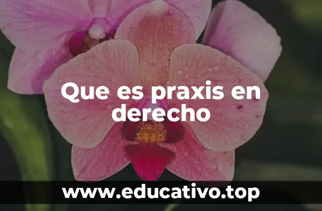 Que es praxis en derecho