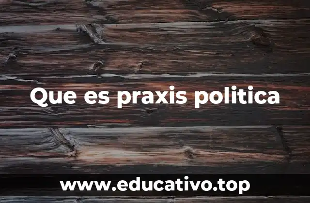 Que es praxis politica