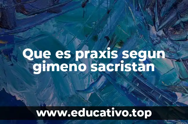 Que es praxis segun gimeno sacristan