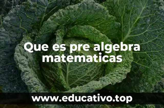 Que es pre algebra matematicas