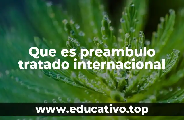 Que es preambulo tratado internacional