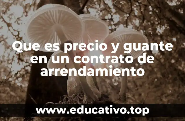 Que es precio y guante en un contrato de arrendamiento