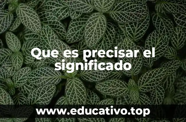 Que es precisar el significado