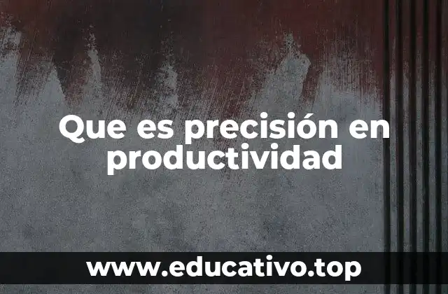 Que es precisión en productividad