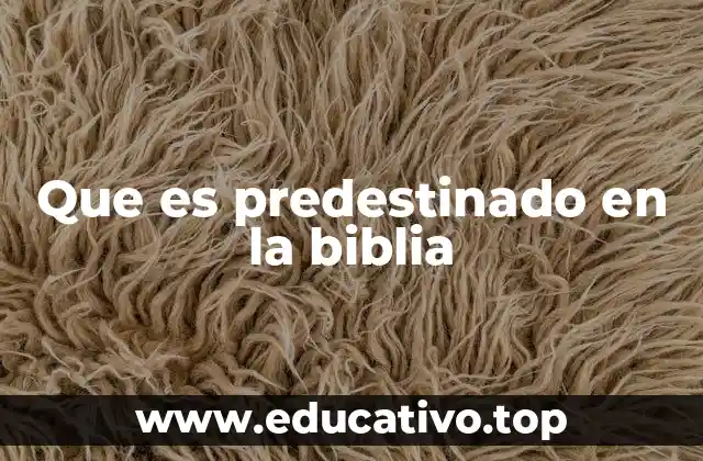 Que es predestinado en la biblia