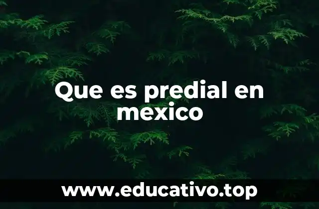 Que es predial en mexico