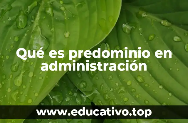 Qué es predominio en administración