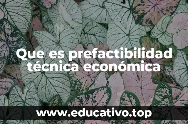 Que es prefactibilidad técnica económica