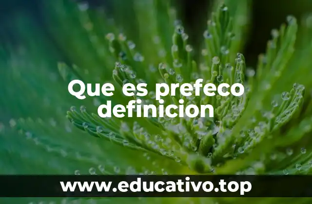 Que es prefeco definicion