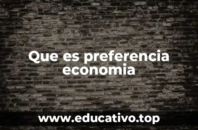 Que es preferencia economia