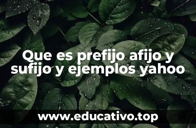 Cómo los afijos ayudan a enriquecer el vocabulario en el idioma español