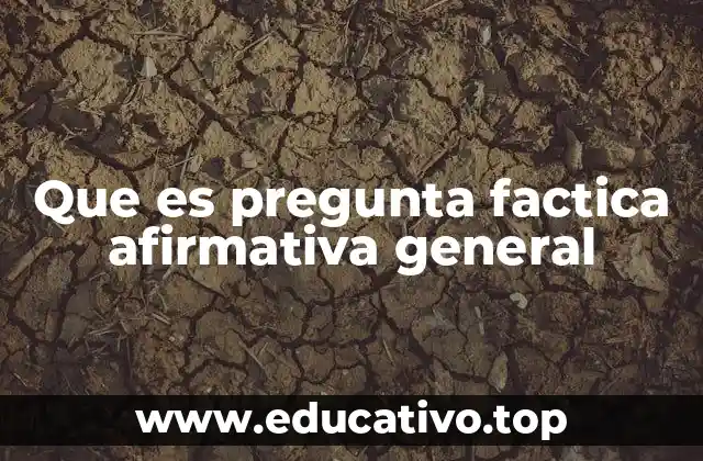 Que es pregunta factica afirmativa general