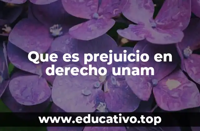 Que es prejuicio en derecho unam