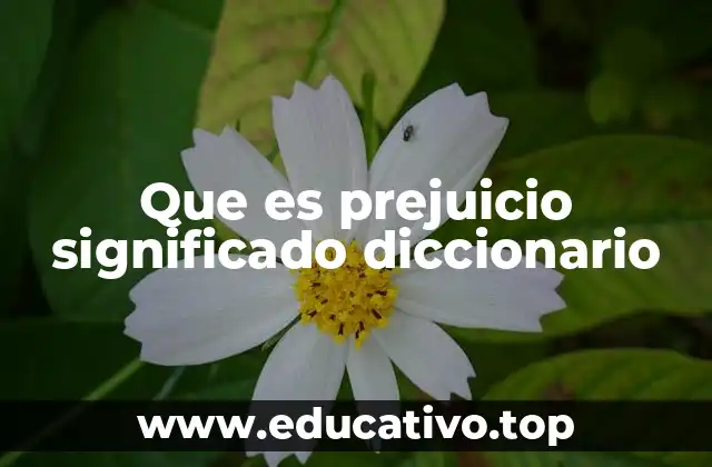 Que es prejuicio significado diccionario