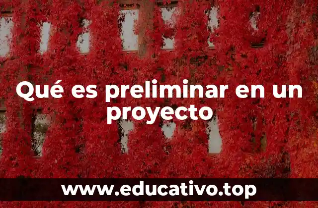 Qué es preliminar en un proyecto