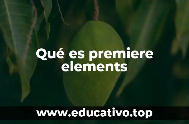 Qué es premiere elements