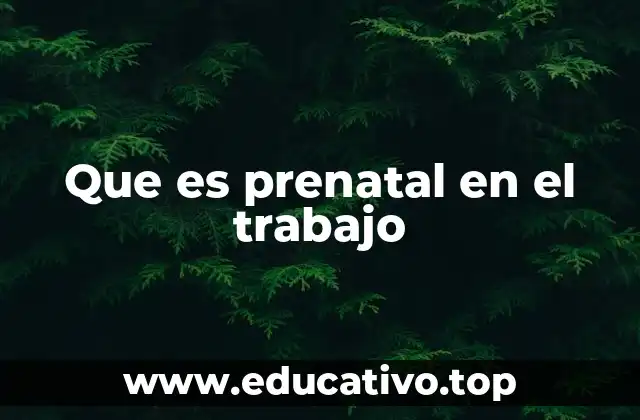 Que es prenatal en el trabajo