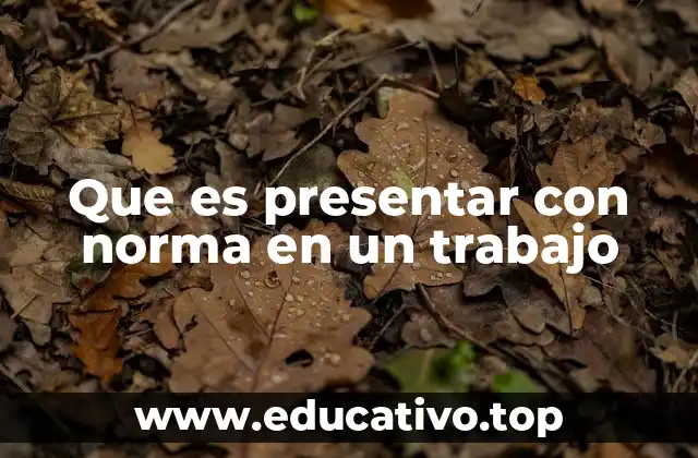 Que es presentar con norma en un trabajo