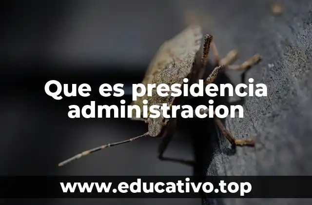La estructura del gobierno y su relación con la presidencia