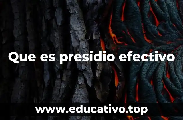 Que es presidio efectivo