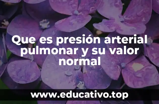 Que es presión arterial pulmonar y su valor normal