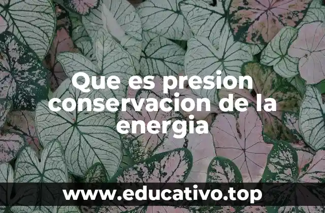 Que es presion conservacion de la energia
