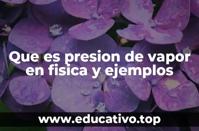 Que es presion de vapor en fisica y ejemplos