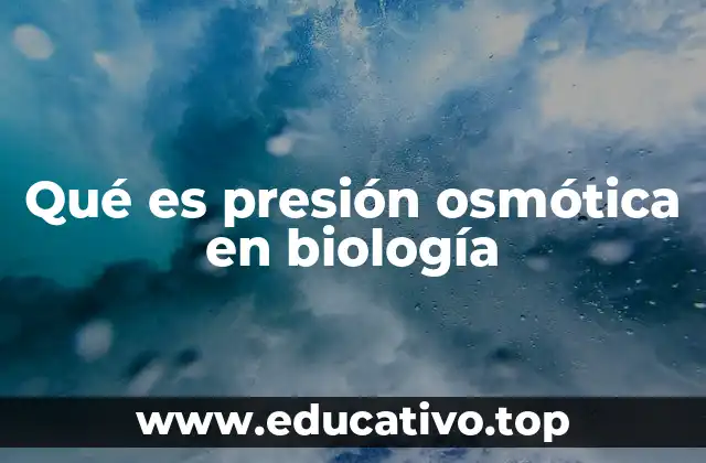 Qué es presión osmótica en biología