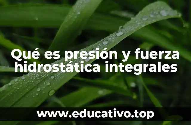 Qué es presión y fuerza hidrostática integrales